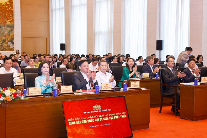 En la cita (Fuente: VNA) vna-potal-dien-dan-cua-quoc-hoi-ve-hoat-dong-giam-sat-8192862.jpg