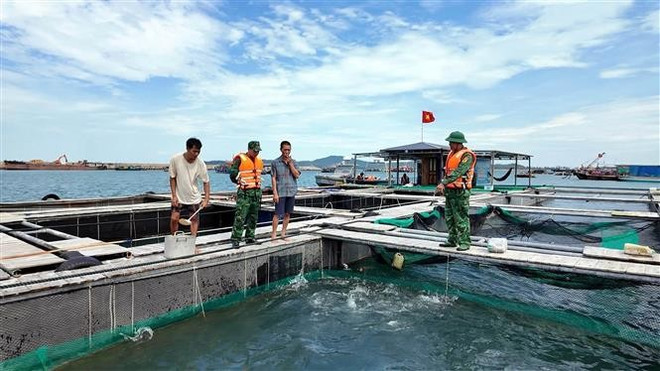 La Guardia Fronteriza de la isla de Co To moviliza a los acuicultores para que desembarquen y eviten la tormenta. Foto: VNA vna-potal-vung-ven-bien-quang-ninh-chu-dong-phong-chong-bao-so-11-8318256.jpg