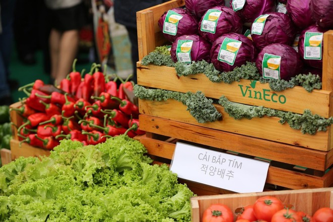 Las políticas agrícolas innovadoras han desatado la capacidad productiva. (Foto: VietnamPlus) 52822573-405035436732668-8443558387110641664-n.jpg