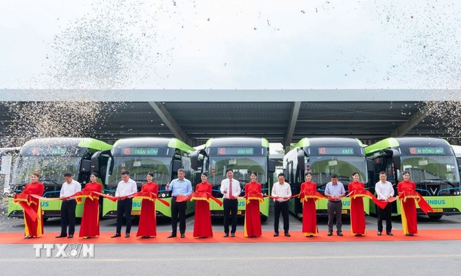 Una flota de autobuses eléctricos (Fuente: VNA) xe-buyt.jpg