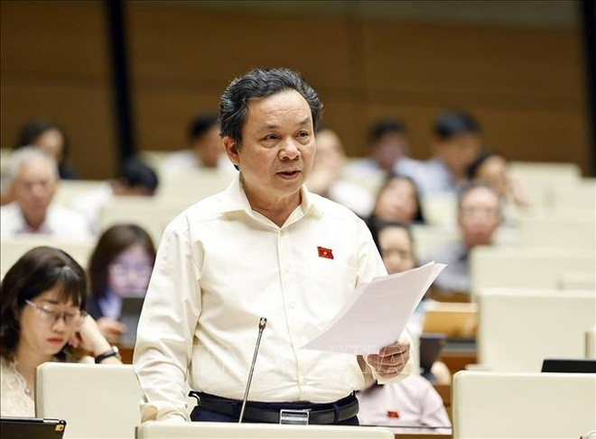 Un diputado habla en la sesión del Parlamento (Fuente: VNA) duong-sat-1.jpg