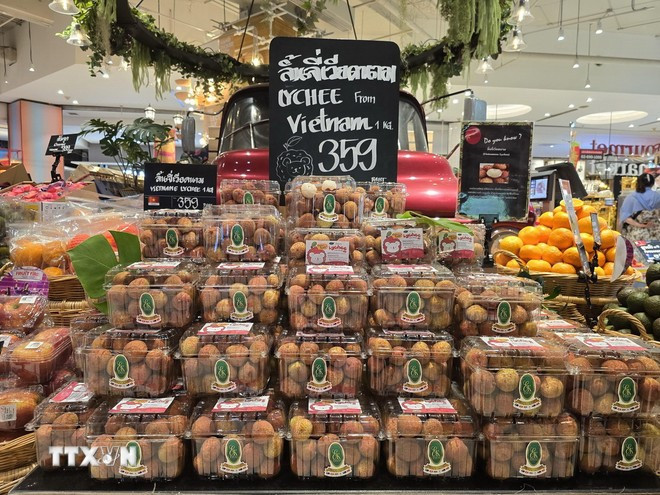 Lichi vietnamita a la venta en un supermercado de Tailandia. (Foto: VNA) vai-thieu-viet-nam-2093.jpg