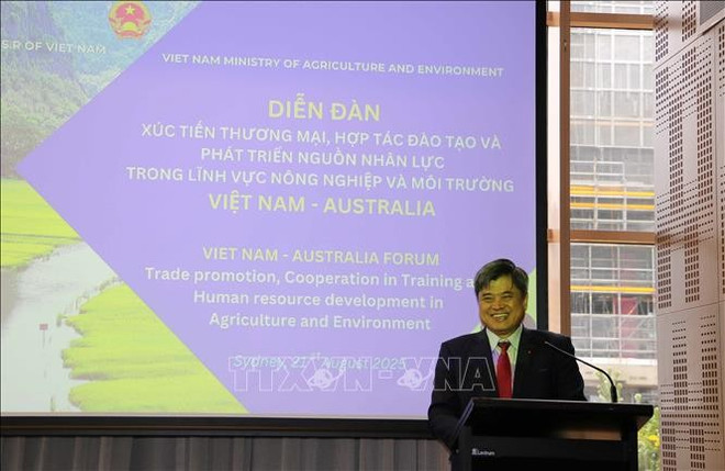 El viceministro Tran Thanh Nam (Fuente: VNA) tran-thanh-nam.jpg