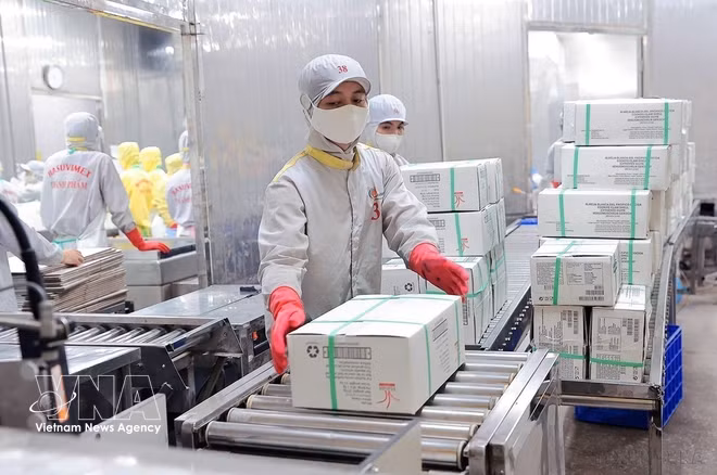 vnanet-potal-thuy-san-viet-nam-phat-trien-chuyen-doi-cong-nghe-cao-xanh-va-ben-vung-8671638.jpg