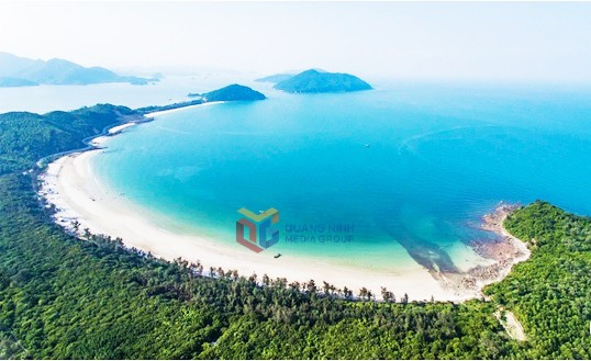 Bosque de mirtos en la isla Minh Chau en la Zona Económica Especial de Van Don (Fuente: baoquangninh.com) 2416413-wtm-1ba6e99183e485f627f7d87d0f82dec4.jpg