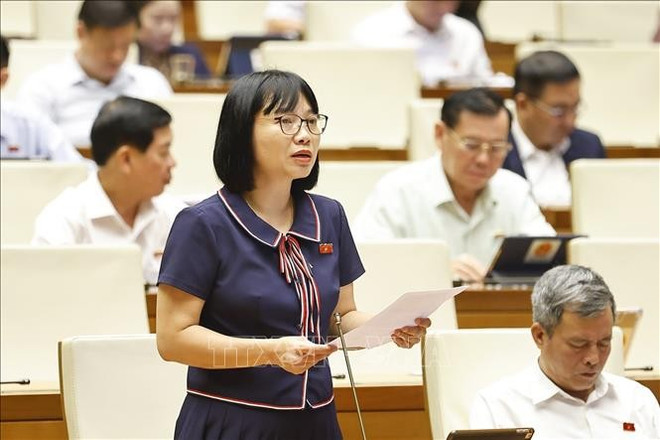 La legisladora Nguyen Thi Viet Nga de la provincia norteña de Hai Duong (Fuente: VNA) c490e1baa1i-bie1bb83u-que1bb91c-he1bb99i-te1bb89nh-he1baa3i-dc6b0c6a1ng-nguye1bb85n-the1bb8b-vie1bb87t-nga-phc3a1t-bie1bb83u-e1baa2nh-ttxvn.jpg