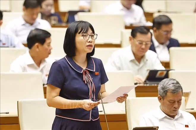 c490e1baa1i-bie1bb83u-que1bb91c-he1bb99i-te1bb89nh-he1baa3i-dc6b0c6a1ng-nguye1bb85n-the1bb8b-vie1bb87t-nga-phc3a1t-bie1bb83u-e1baa2nh-ttxvn.jpg