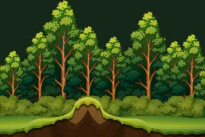 Vietnam registra más de 14,97 millones de hectáreas de bosque