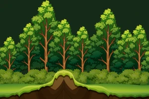 Vietnam registra más de 14,97 millones de hectáreas de bosque