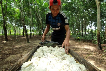 Ligera reducción de producción de caucho de Indonesia