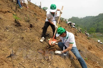 Honda – Vietnam siembra 80 hectáreas de bosque en Bac Kan