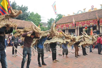 Fiesa primaveral de res de paja en Vinh Phuc