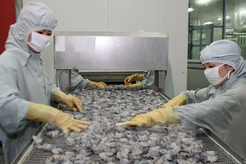 Provincia vietnamita se esfuerza por aumentar producción acuática