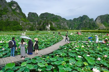 Foto de ilustración. (Foto: vietnamnet.vn)