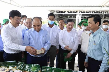 Presidente realiza visita de trabajo a la provincia deltaica de Dong Thap