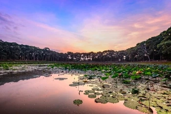 Delta del Mekong reconoce otros dos destinos turísticos típicos