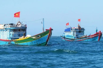 Provincia vietnamita intensifica combate contra la pesca ilegal 