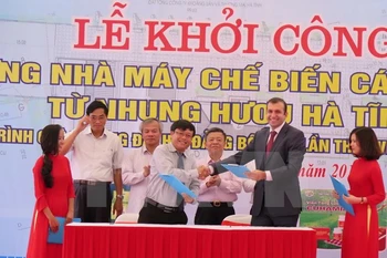 Construyen planta de procesamiento de cuerno de ciervo en Ha Tinh