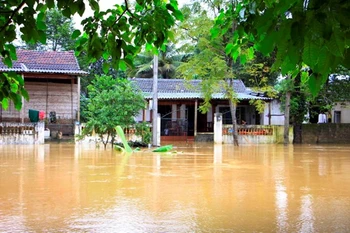 Agencia de la ONU recauda fondos para vietnamitas afectados por inundaciones