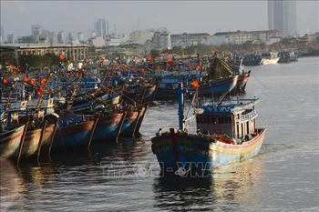 Revisan la pesca con responsabilidad en localidades centrales de Vietnam