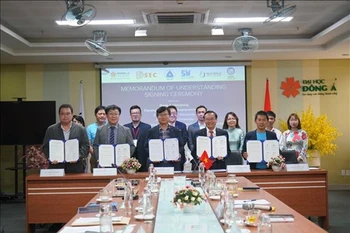 Da Nang y Corea del Sur cooperan para fomentar talentos en el sector tecnológico