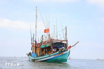 Foto de ilustración. (Fuente: VNA)