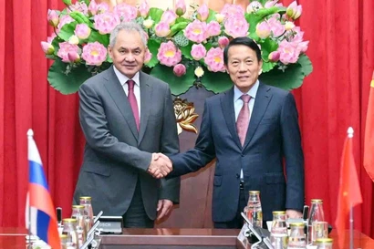 El ministro de Seguridad Pública de Vietnam, Luong Tam Quang (derecha), se reúne con Sergei Shoigu, secretario del Consejo de Seguridad de Rusia. (Foto: VNA)