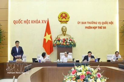 El vicepresidente de la Asamblea Nacional Vu Hong Thanh interviene en la cita (Foto: VNA)