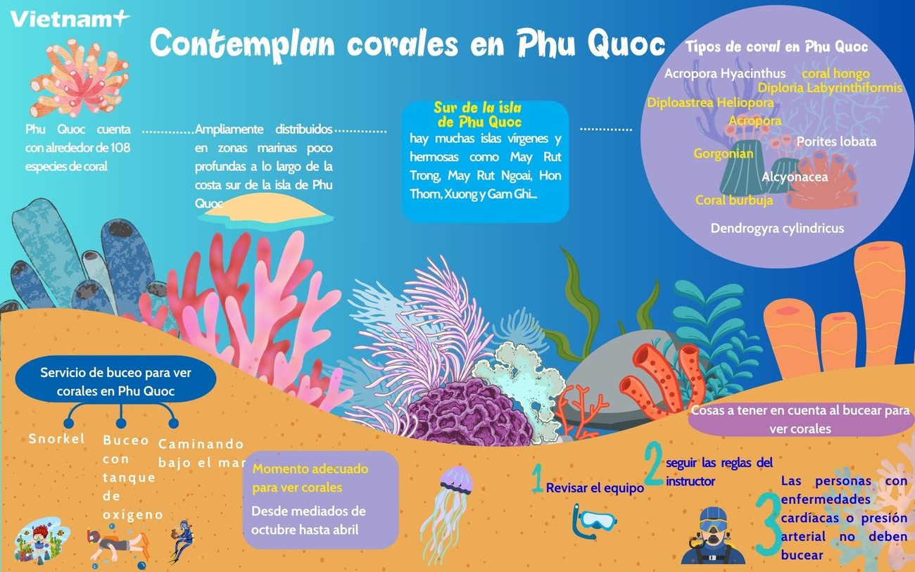 BAI SUA Khám phá đại dương, lặn biển ngắm san hô ở Phú Quốc.jpg