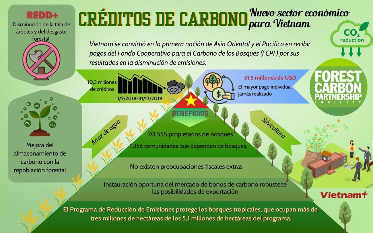 Mở khóa thị trường tín chỉ carbon cho Việt Nam (2).jpg