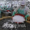 Procesamiento de camarones para exportación (Foto ilustrativa: VNA)