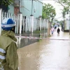 Una calle inundada en Da Nang (Foto: VNA)