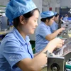 Actividades de producción en Fancy Industrial Co., Ltd., una empresa de propiedad china ubicada en el Parque Industrial Pho Noi A, provincia de Hung Yen. (Foto: VNA)