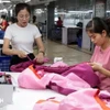 Prendas de vestir para exportación al mercado europeo de la empresa TNG, provincia de Thai Nguyen (Foto: VNA)