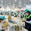 Trabajadores del Parque Industrial Du Long, provincia de Khanh Hoa. (Foto: VNA)