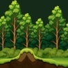 Vietnam registra más de 14,97 millones de hectáreas de bosque
