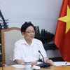 El viceprimer ministro vietnamita Ho Quoc Dung (Foto: VNA)
