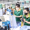 Trabajadores de la empresa de inversión y producción industrial Lefaso Tra Vinh en la comuna de Tra Cu, provincia de Vinh Long. (Foto: VNA)
