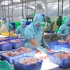 El sector acuícola vietnamita muestra señales positivas en la producción, con un objetivo de crecimiento previsto del 4,25% para 2025. (Foto: VNA)