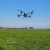 Utilización de drones para fumigar con pesticidas en los arrozales de An Nhut, comuna de Long Dien, Ciudad Ho Chi Minh. (Foto: VNA)
