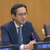 El embajador Do Hung Viet, jefe de la misión permanente de Vietnam ante la ONU, interviene en la sesión (Foto: VNA)