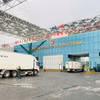 Camiones hacen fila para pasar por la aduana en el puente Bac Luan II, en el puesto fronterizo internacional de Mong Cai. (Foto: VNA)
