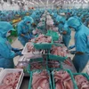 Los productos acuícolas son uno de los principales sectores de exportación con alto crecimiento en los primeros seis meses de 2025 (Foto: VNA)