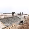 En la comuna de Hai Thinh, provincia de Ninh Binh, se están completando gradualmente proyectos de diques destinados a hacer frente al riesgo de erosión y al aumento del nivel del mar. (Foto: VNA)