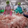 Procesamiento de filetes de pangasius para la exportación en la fábrica de Go Dang Tien Giang. (Foto: VNA)