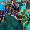 Oficiales y soldados del puesto fronterizo de Truong Sa imparten conocimientos legales a pescadores locales. (Foto: VNA)