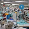 Las prendas de vestir son uno de los principales productos de exportación de Vietnam a Rusia. (Foto: VNA)