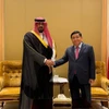El viceprimer ministro de Vietnam, Nguyen Chi Dung, se reúne con el ministro saudí de Economía y Planificación, Faisal bin Fadhil Al-Ibrahim (Foto: VNA)