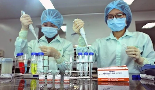 Vietnam ha estudiado la vacuna Nanocovax contra el COVID-19 y se están investigando otros fármacos para obtener una licencia pronto, con el fin de ayudar a controlar rápidamente la pandemia. Foto: VNA