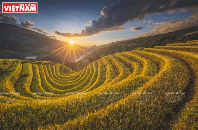 Las terrazas de arroz en el distrito de Mu Cang Cha, en la provincia Yen Bai (Foto: Nguyen Hoang Linh)